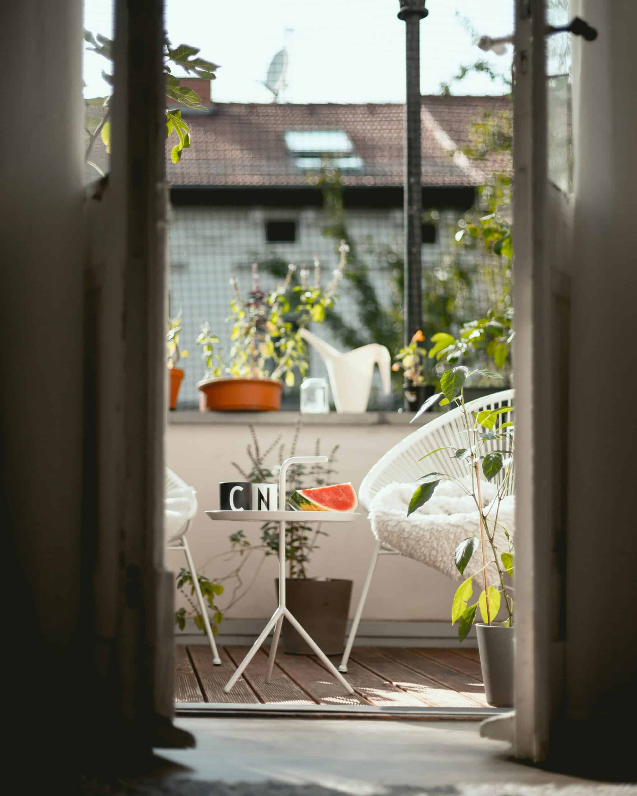 niklas-hamann-2qzubI-L6BA-unsplash