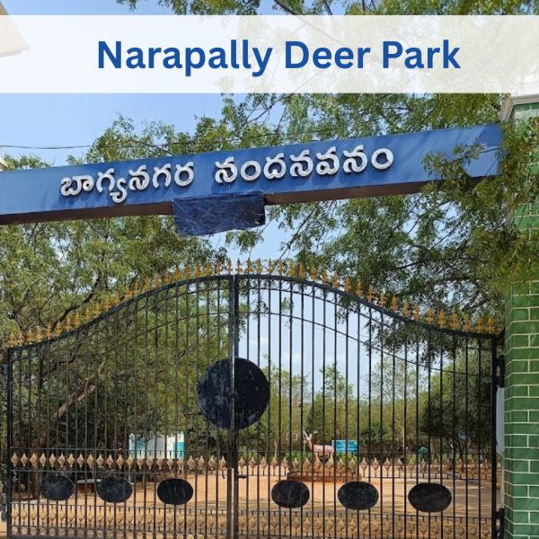 Nandana Vanam Deer Park